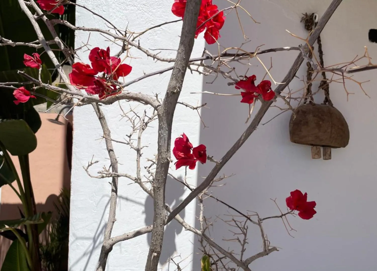 Mar De Fondo En Pedregalejo Apartment Malaga